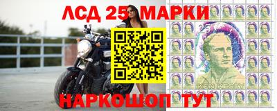 Альфа ПВП Аргун
